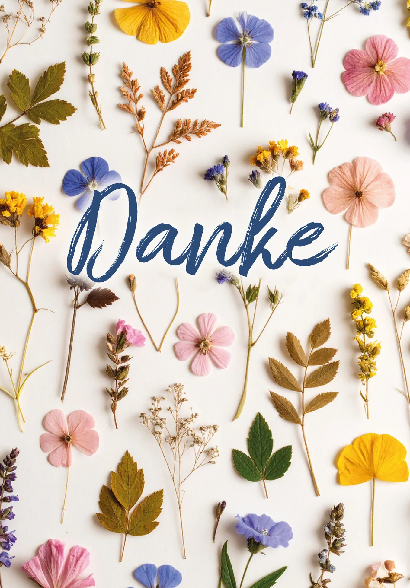 Danke - Trockenblumen Bunt - Image 2